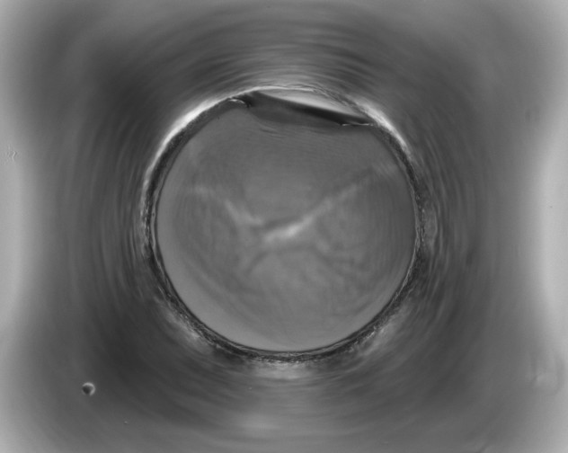 X0000085771071200704091348