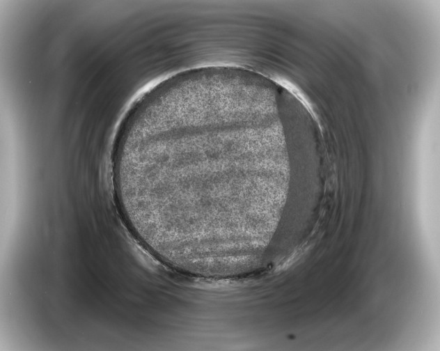 X0000085771072200704091348