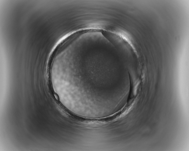 X0000085771077200704091348