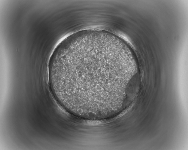 X0000085771079200704091348