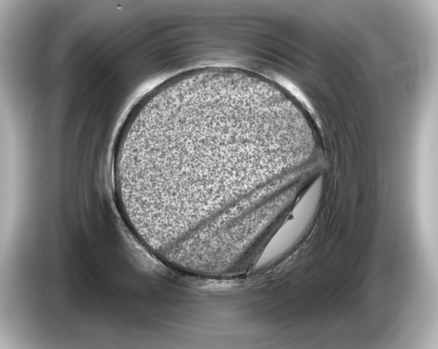 X0000085771080200704091348