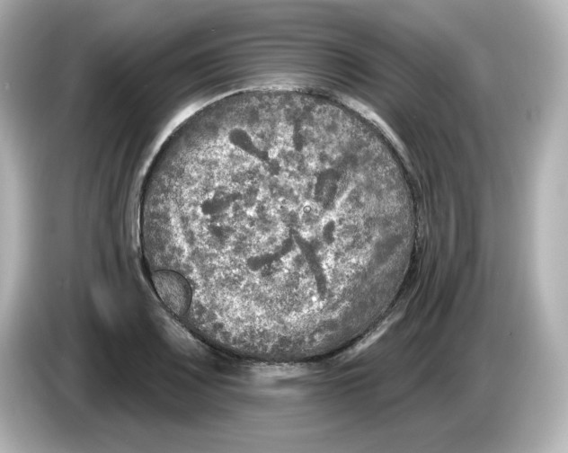 X0000085771083200704091348