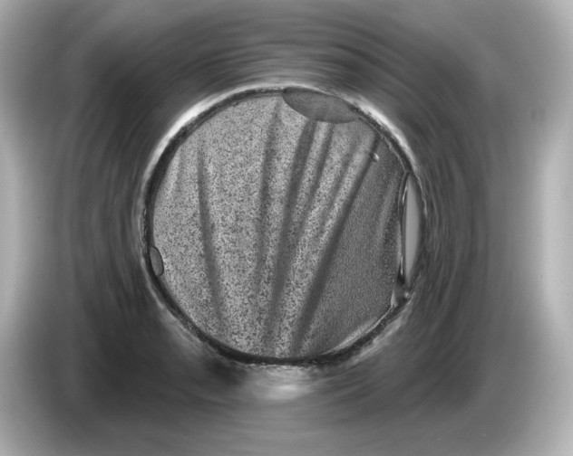 X0000085771085200704091348