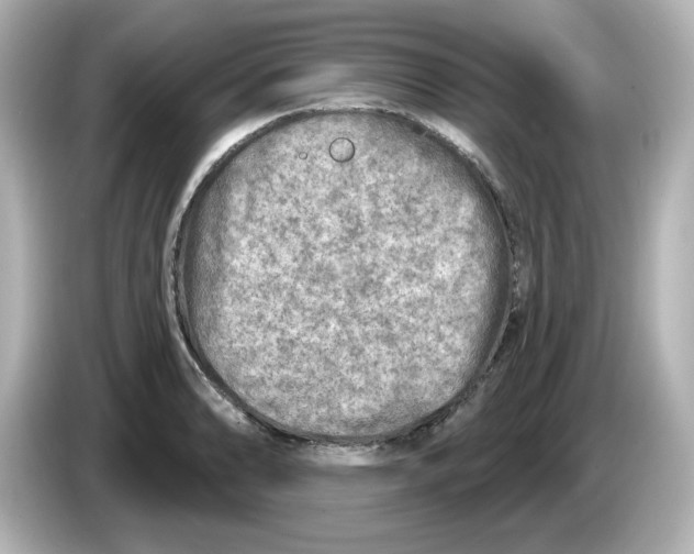 X0000085771086200704091348