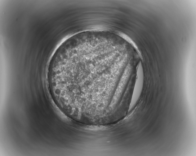 X0000085771091200704091348