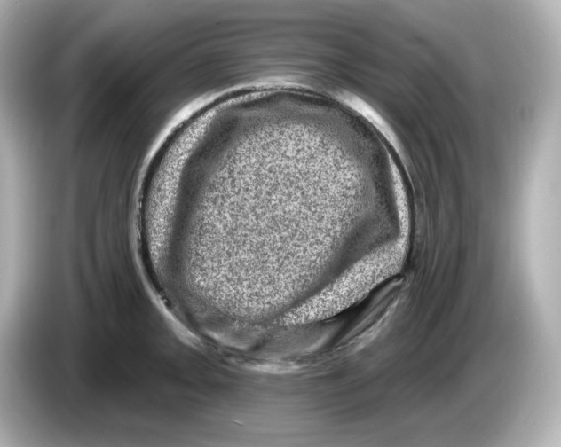 X0000085771093200704091348