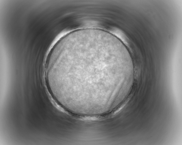 X0000085771094200704091348