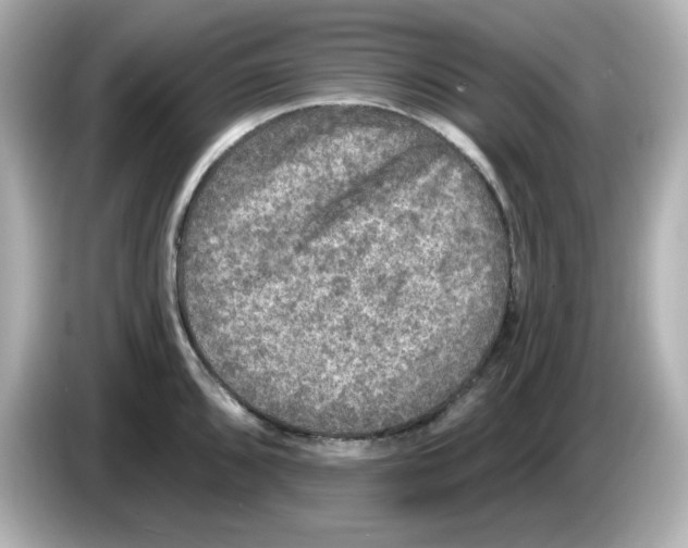 X0000085771096200704091348