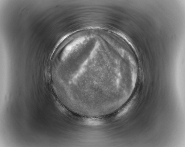 X0000085771097200704091348