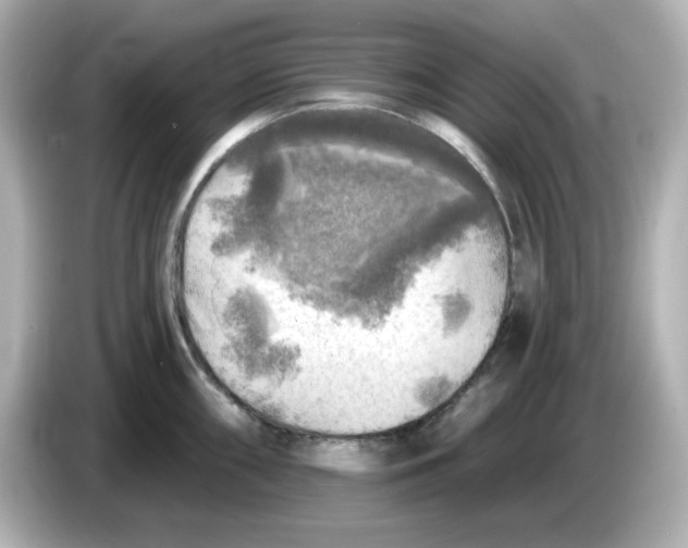 X0000085771098200704091348