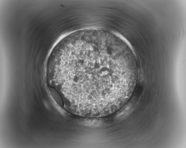 X0000085771099200704091348