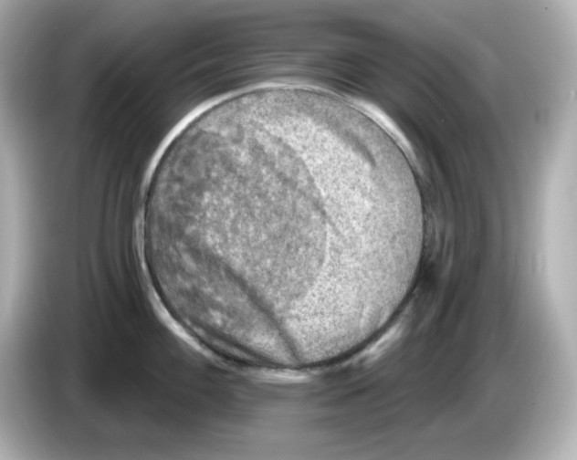 X0000085771100200704091348