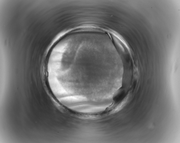 X0000085771101200704091348