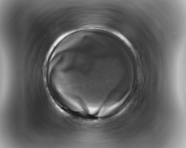 X0000085771102200704091348