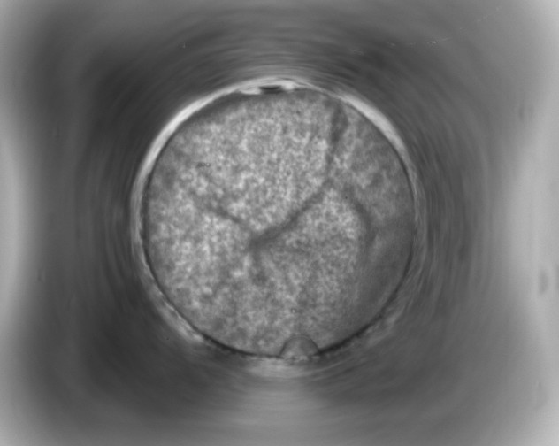 X0000085771104200704091348