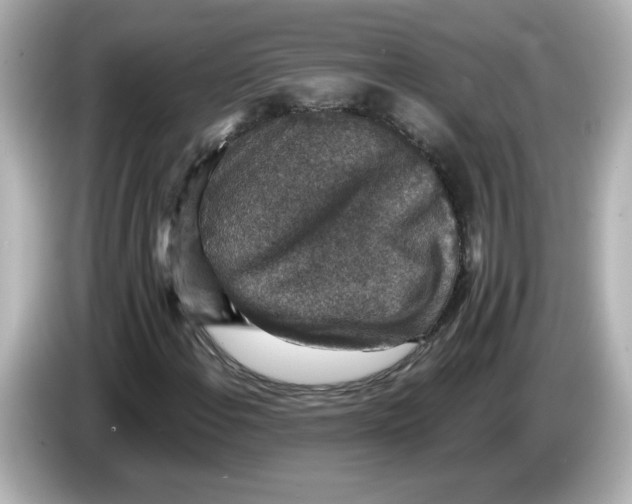 X0000085771108200704091347