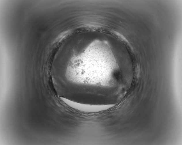 X0000085771110200704091347