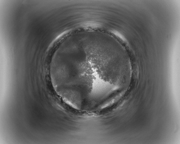 X0000085771112200704091347