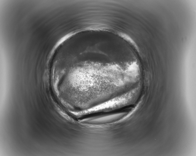 X0000085771114200704091348