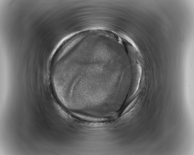 X0000085771116200704091348