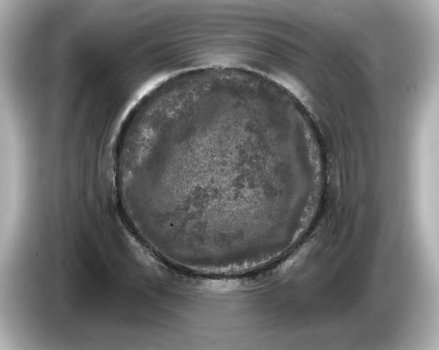 X0000085771118200704091348