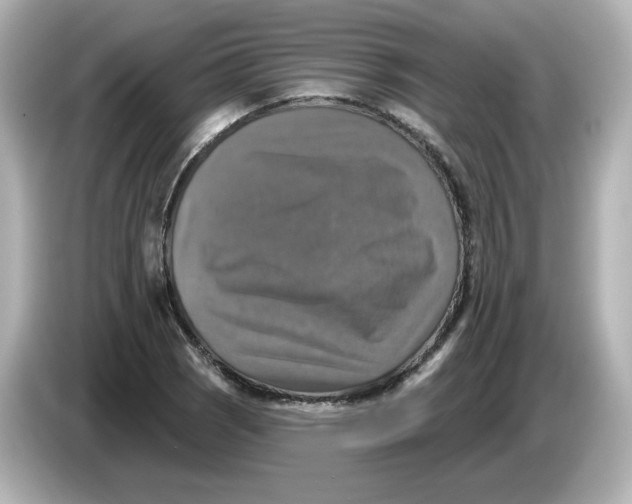 X0000085771121200704091348