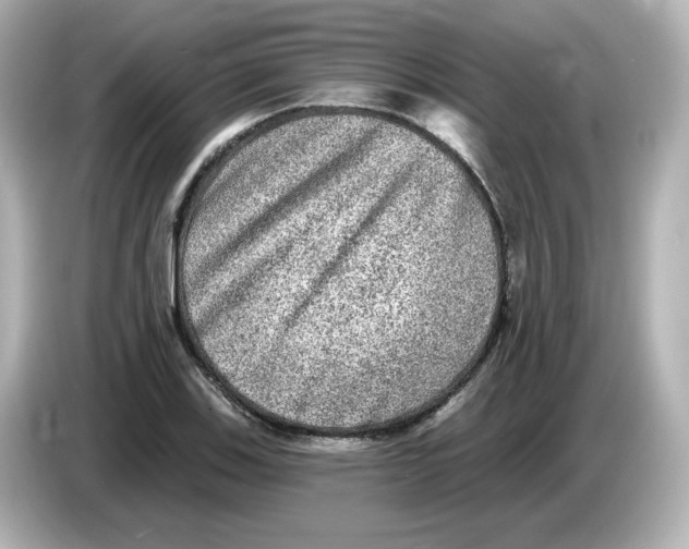 X0000085771123200704091348