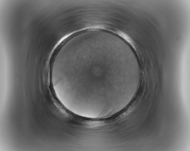 X0000085771127200704091348