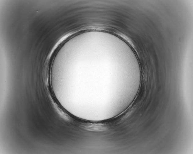 X0000085771131200704091348