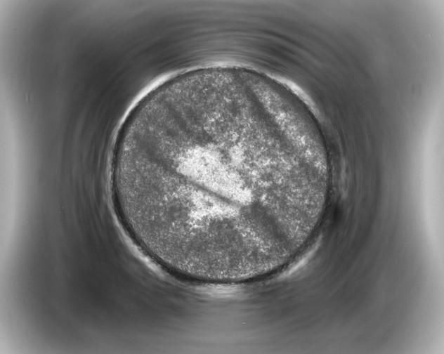 X0000085771134200704091348