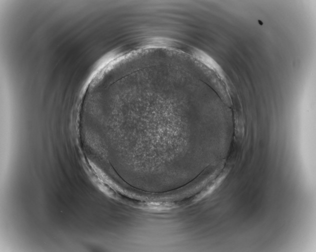 X0000085771138200704091348