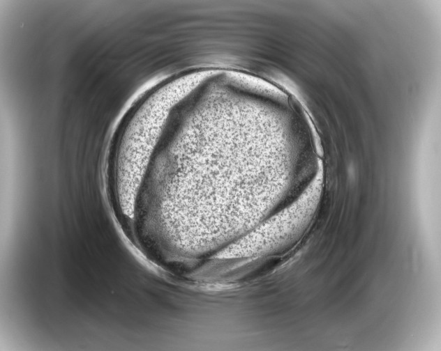 X0000085771139200704091348