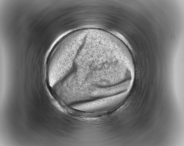 X0000085771140200704091348