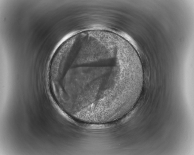 X0000085771142200704091348