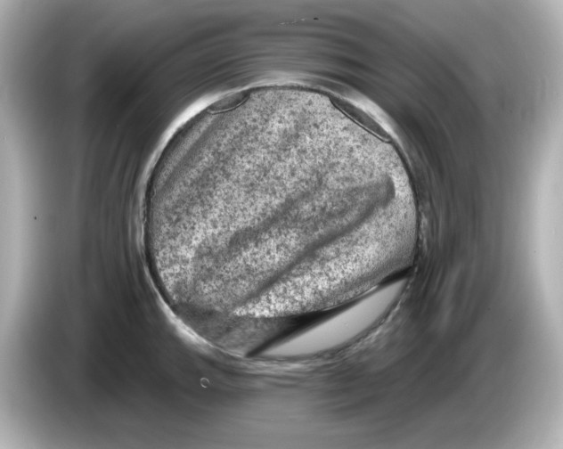 X0000085771143200704091348