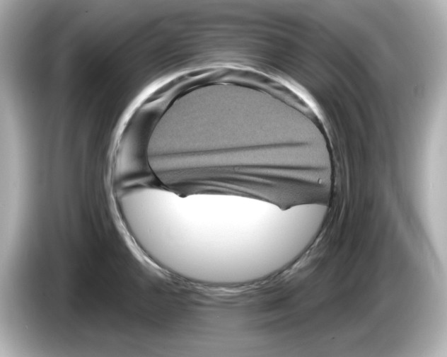 X0000085771144200704091348