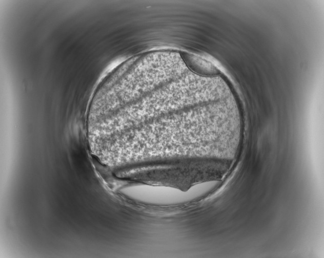 X0000085771145200704091348