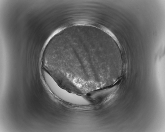 X0000085771146200704091348