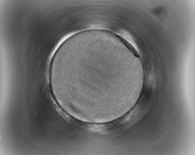 X0000085771148200704091348