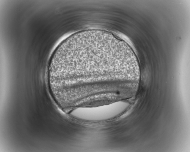 X0000085771149200704091348