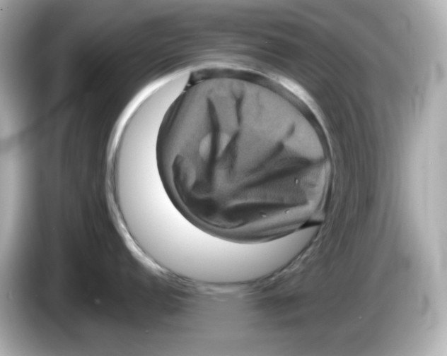 X0000085771152200704091348