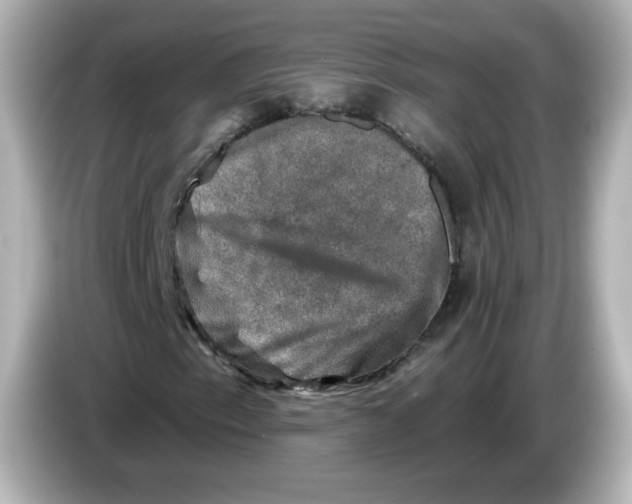 X0000085771153200704091347