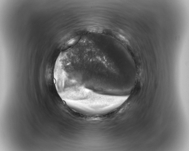 X0000085771154200704091347