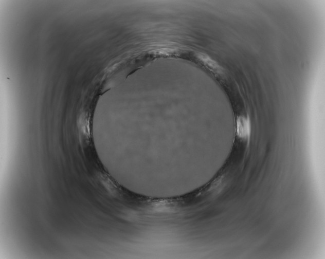 X0000085771155200704091347