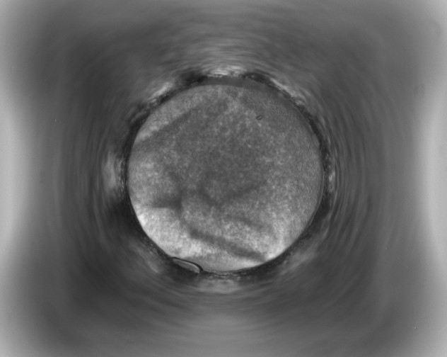 X0000085771156200704091347