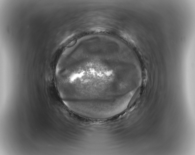 X0000085771158200704091347