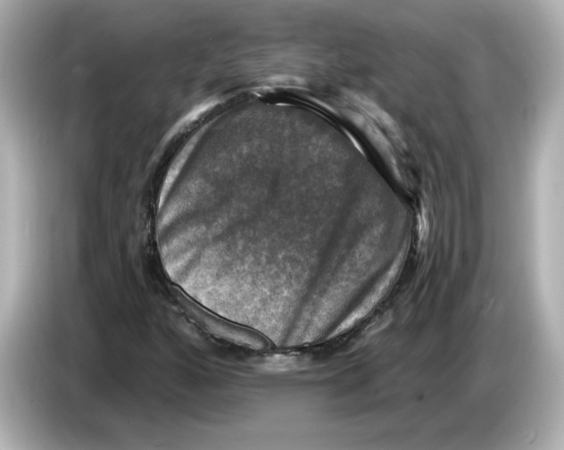 X0000085771160200704091347