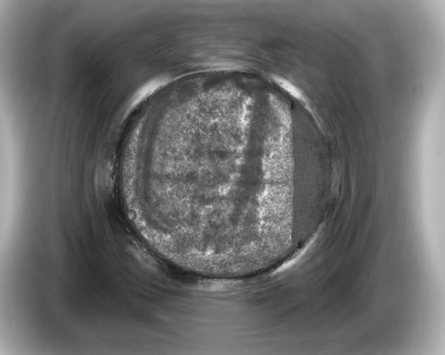 X0000085771163200704091347