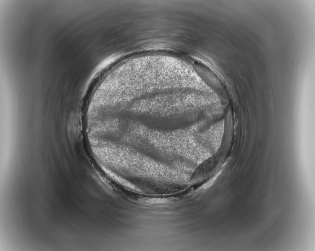 X0000085771164200704091347