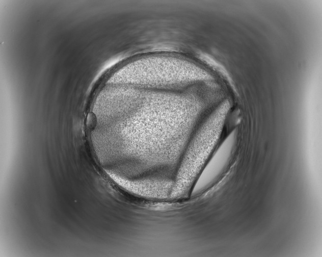 X0000085771166200704091347